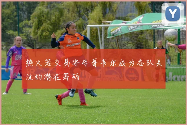 热火若交易字母哥韦尔成为各队关注的潜在筹码