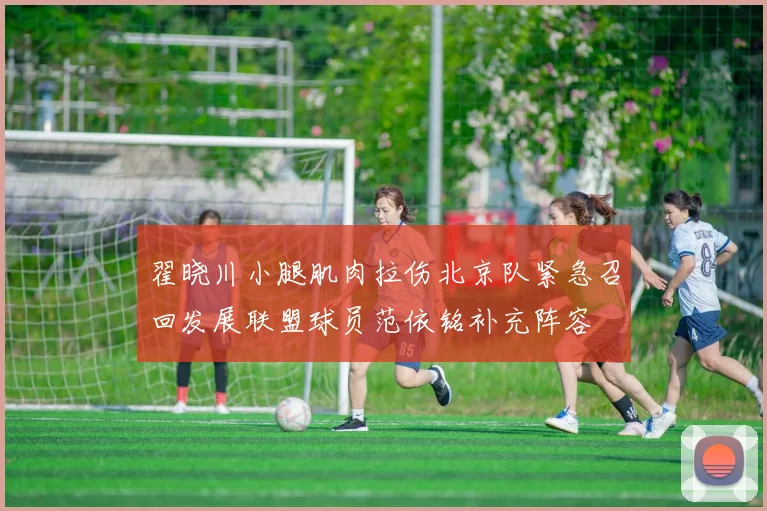 翟晓川小腿肌肉拉伤北京队紧急召回发展联盟球员范依铭补充阵容